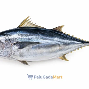 ikan tongkol tuna