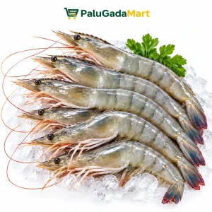 Udang Vaname Ukuran 25-30 Ekor - 500g